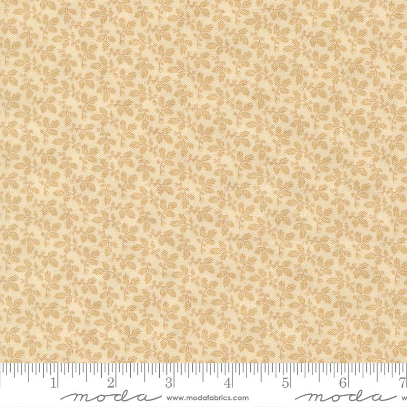 Miss Mollie 47566-11 Biscuit