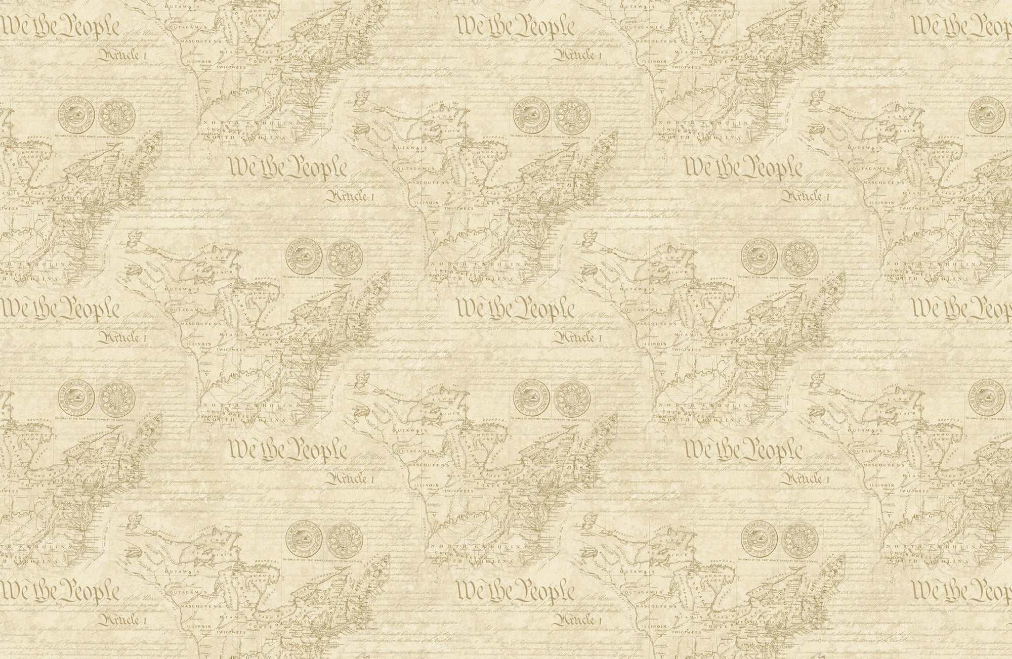 America 250 28374-12 Beige Map