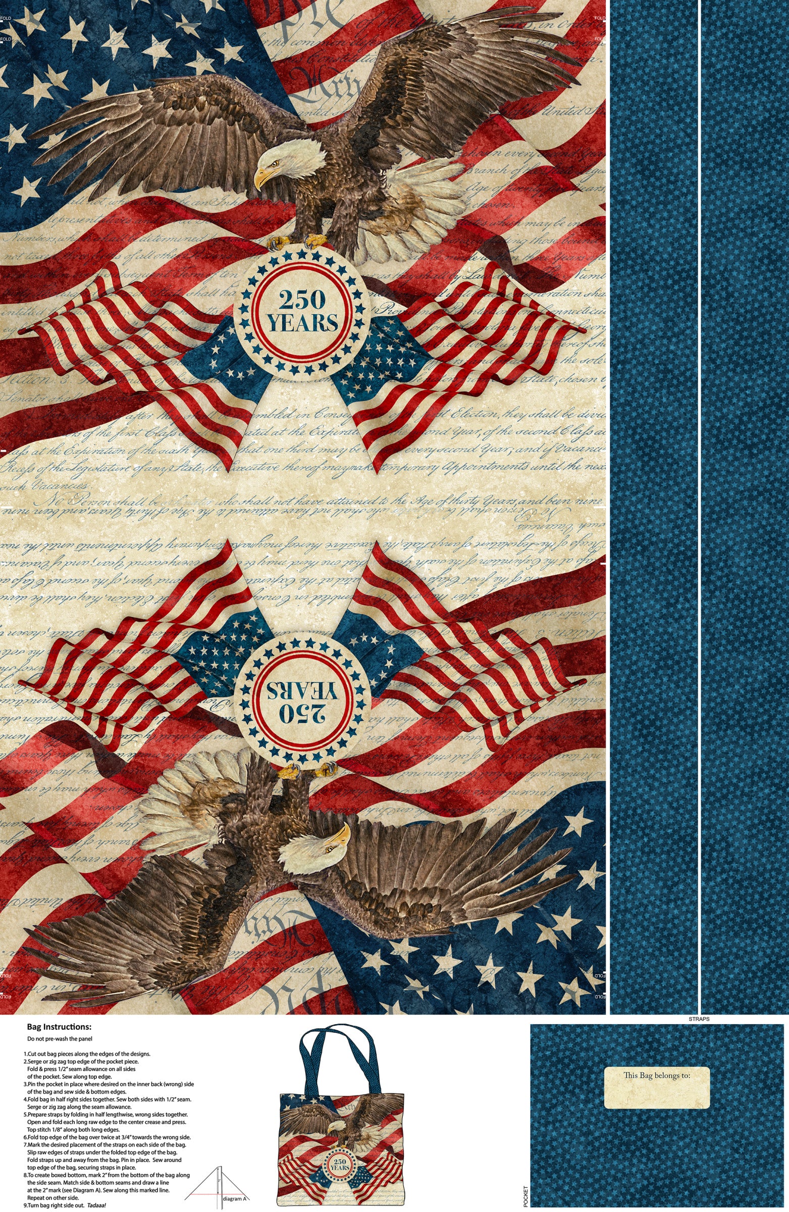 America 250 C28376-12 Beige Multi Canvas Bag