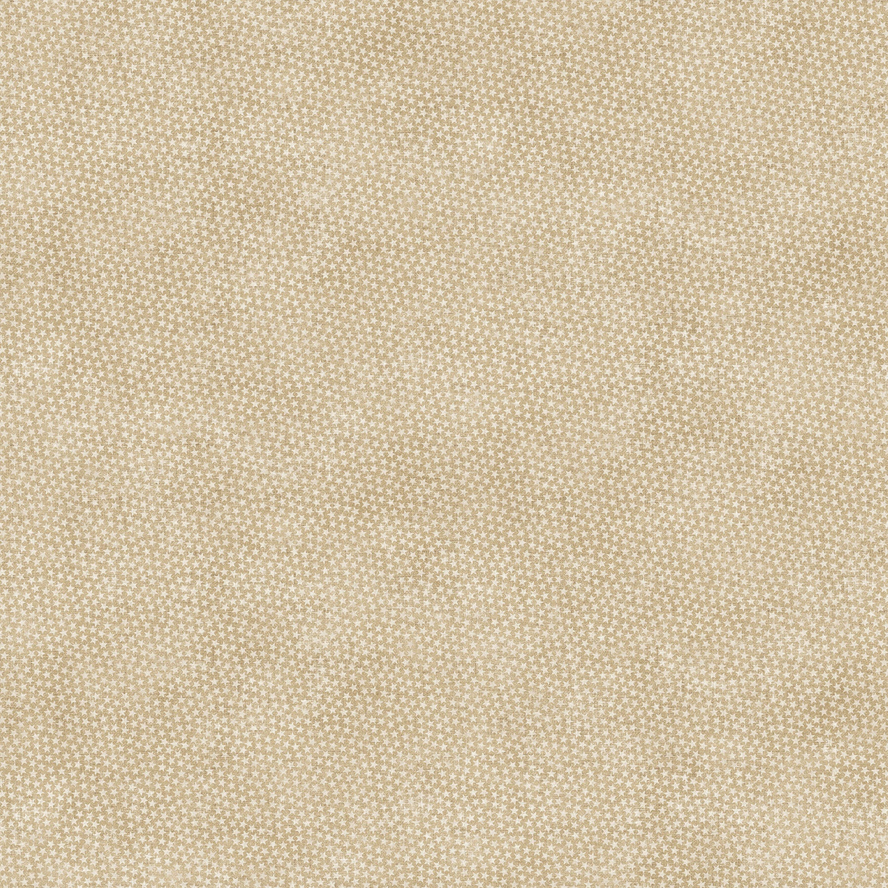 American Heartland 28739-12 Beige Star Blender