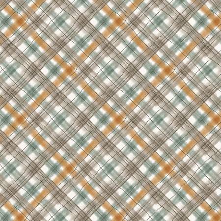 Wild n Free 4929-39 Multi Plaid