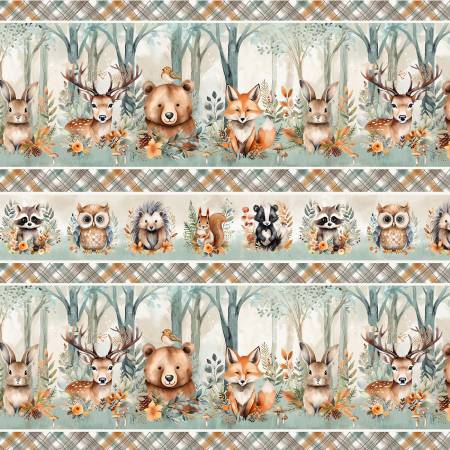 Wild n Free 4934-39 Multi Border Stripe