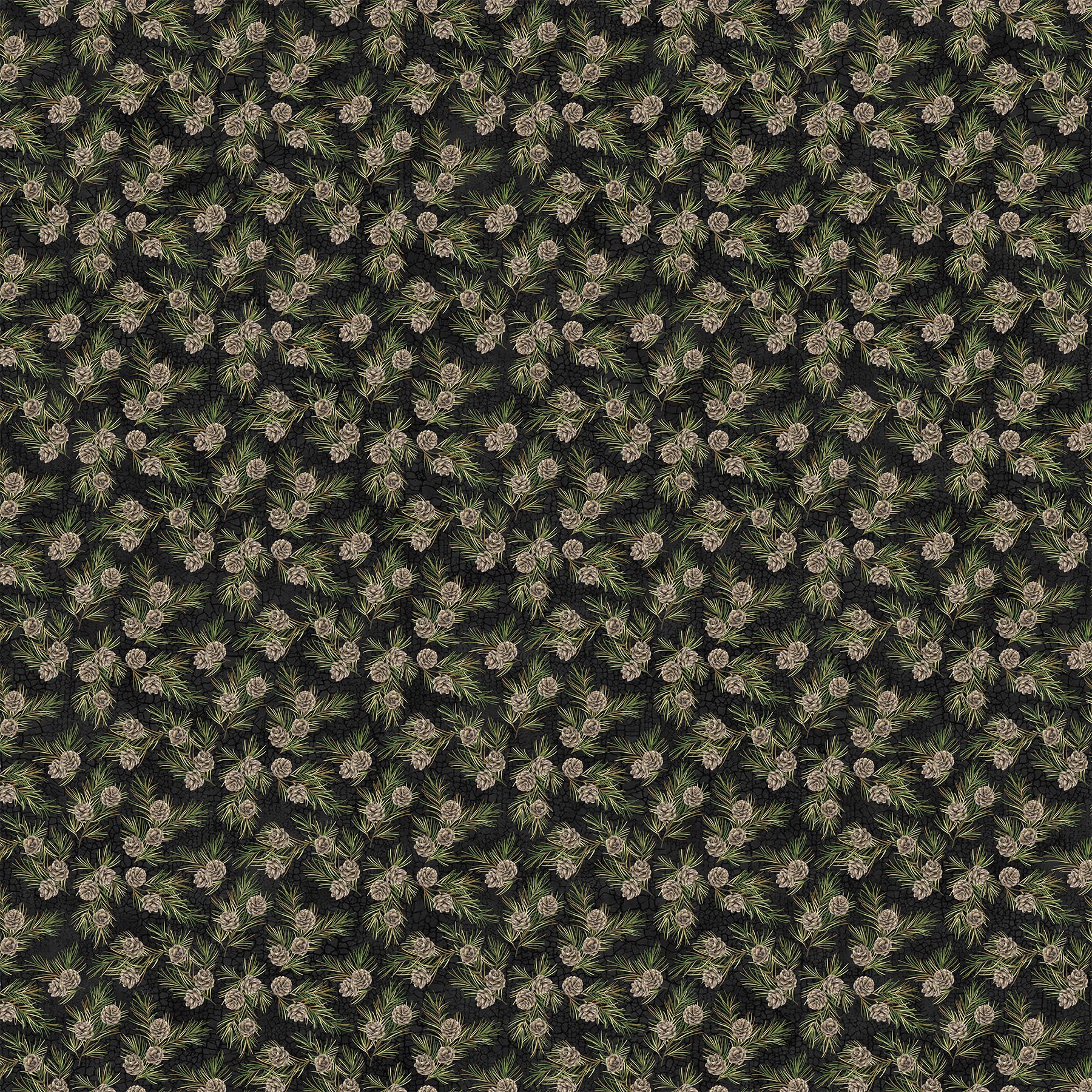 Bear Necessities 28627-99 Black Multi