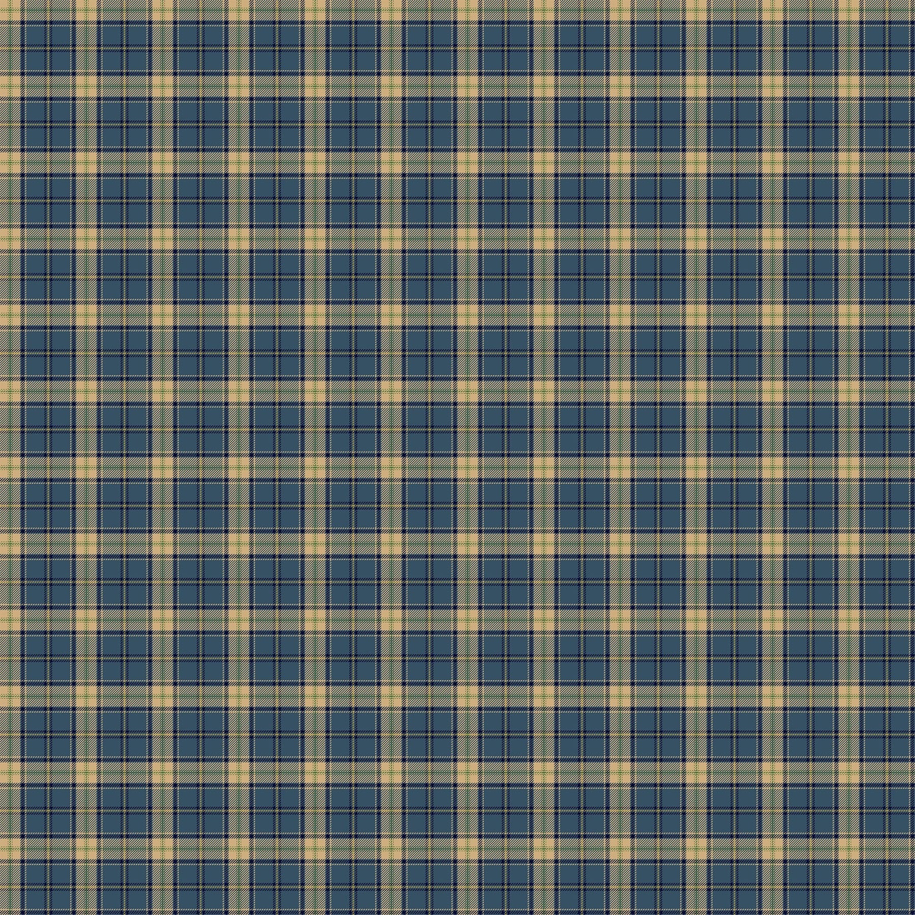 Birchwood - Naturescapes 29110-45 Plaid Dark Blue Multi
