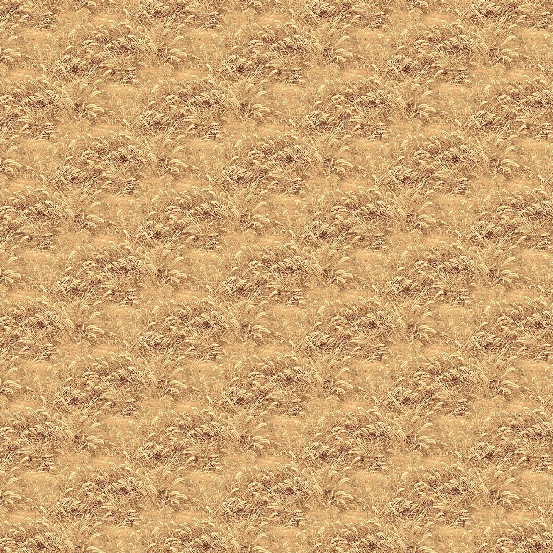 Birchwood - Naturescapes 29111-14 Grass Tan