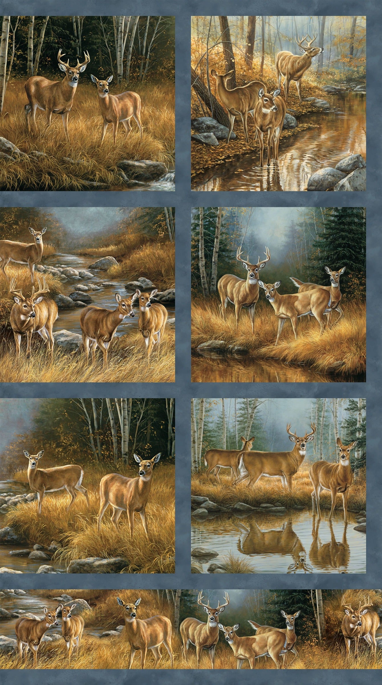 Birchwood - Naturescapes DP29106-44 Blocks Medium Blue Multi