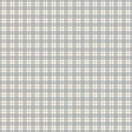 Evening on the Prairie  Picnic Plaid Stone C16744-STONE