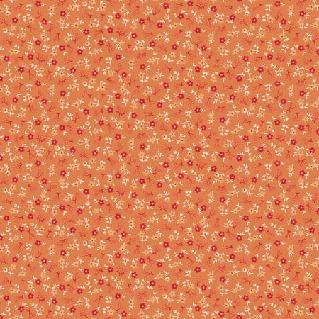 Farmer's Daughter Blossom Squash C17164-SQUASH