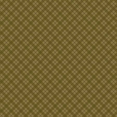 Bountiful C17863-GREEN Plaid Green