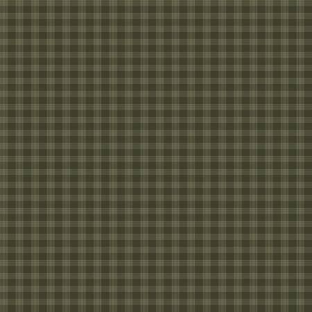 Whispering Pines C17955-GREEN Plaid