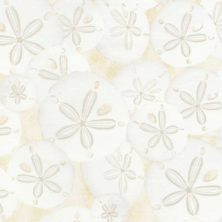 Cream Sand Dollars C5352