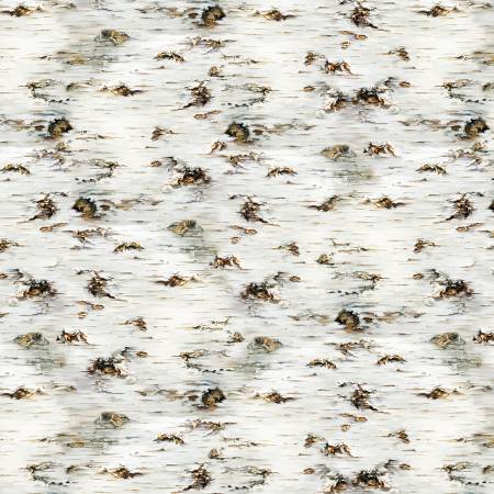 Birch Birch Tree Texture CD3199-BIRCH