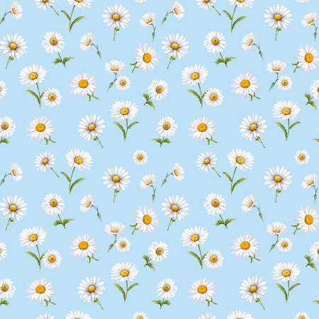 Bee Kind Sky Tossed Daisies CD3262-SKY