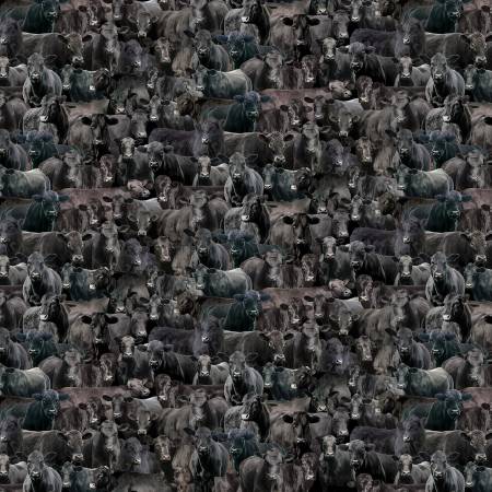 Black Packed Cows CD3867-BLACK
