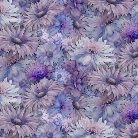 Mystic Meadow CD4214-Thistle Packed Daisies