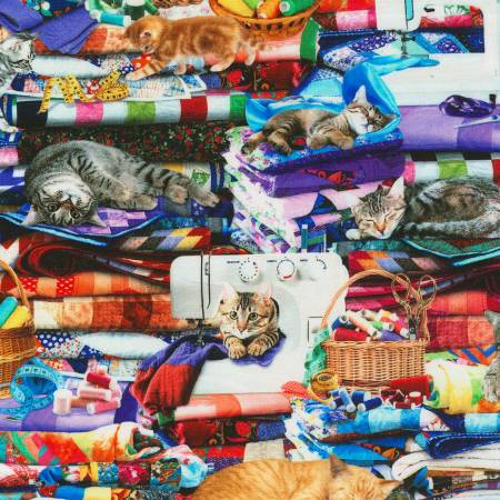 Cat with Quilts