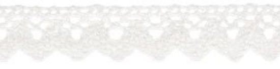 Cotton Cluny Lace 3/4" White