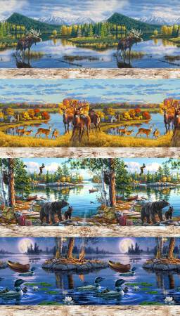 Multi North Country Stripe DDC12453-MULT