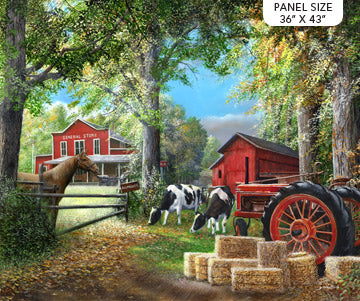 Country Home 23780-76