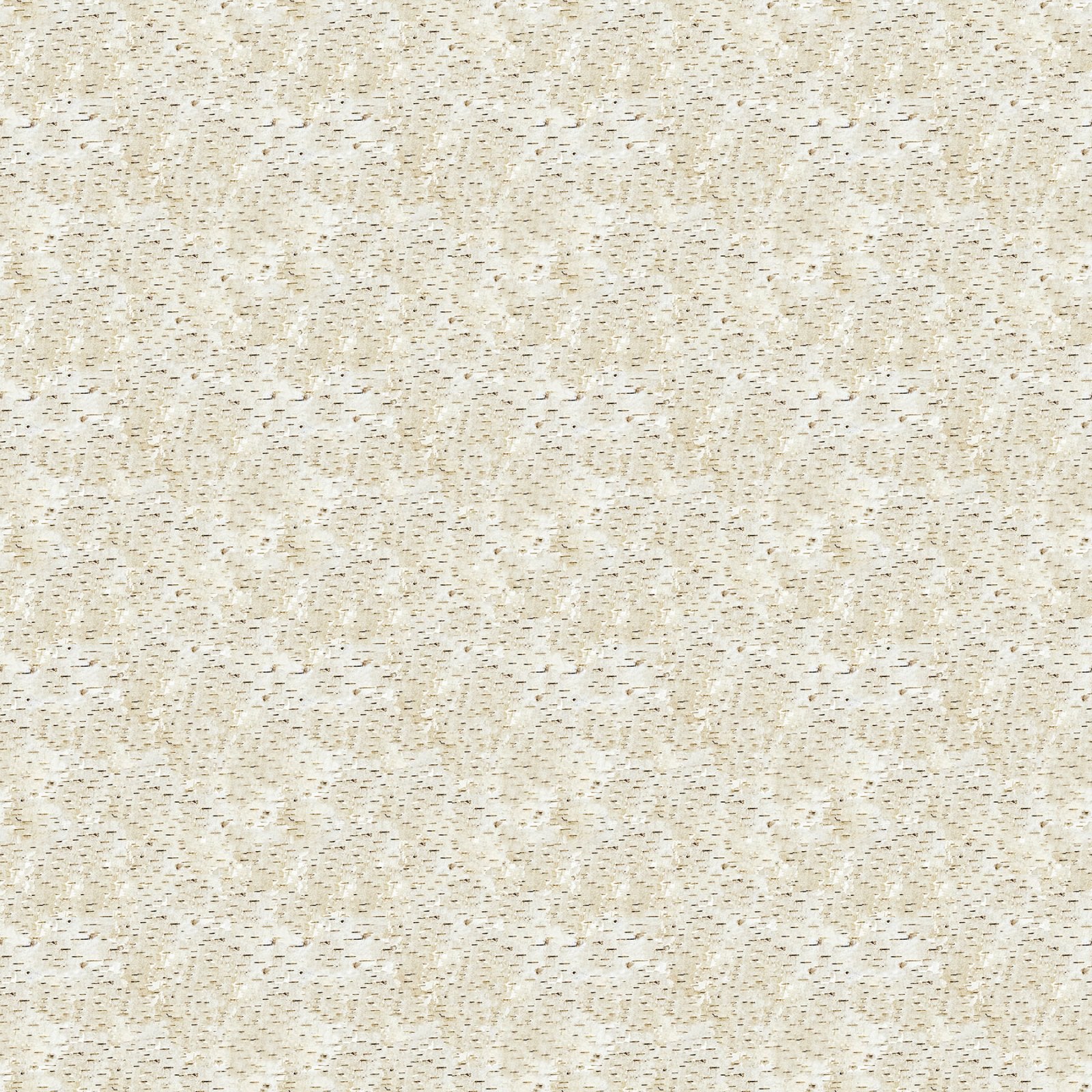 Naturescapes Wilderness DP27793-12 Beige Multi Birch Bark