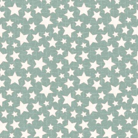 Snowtop Mountain Flannel F11165-Q Aqua Star Flannel