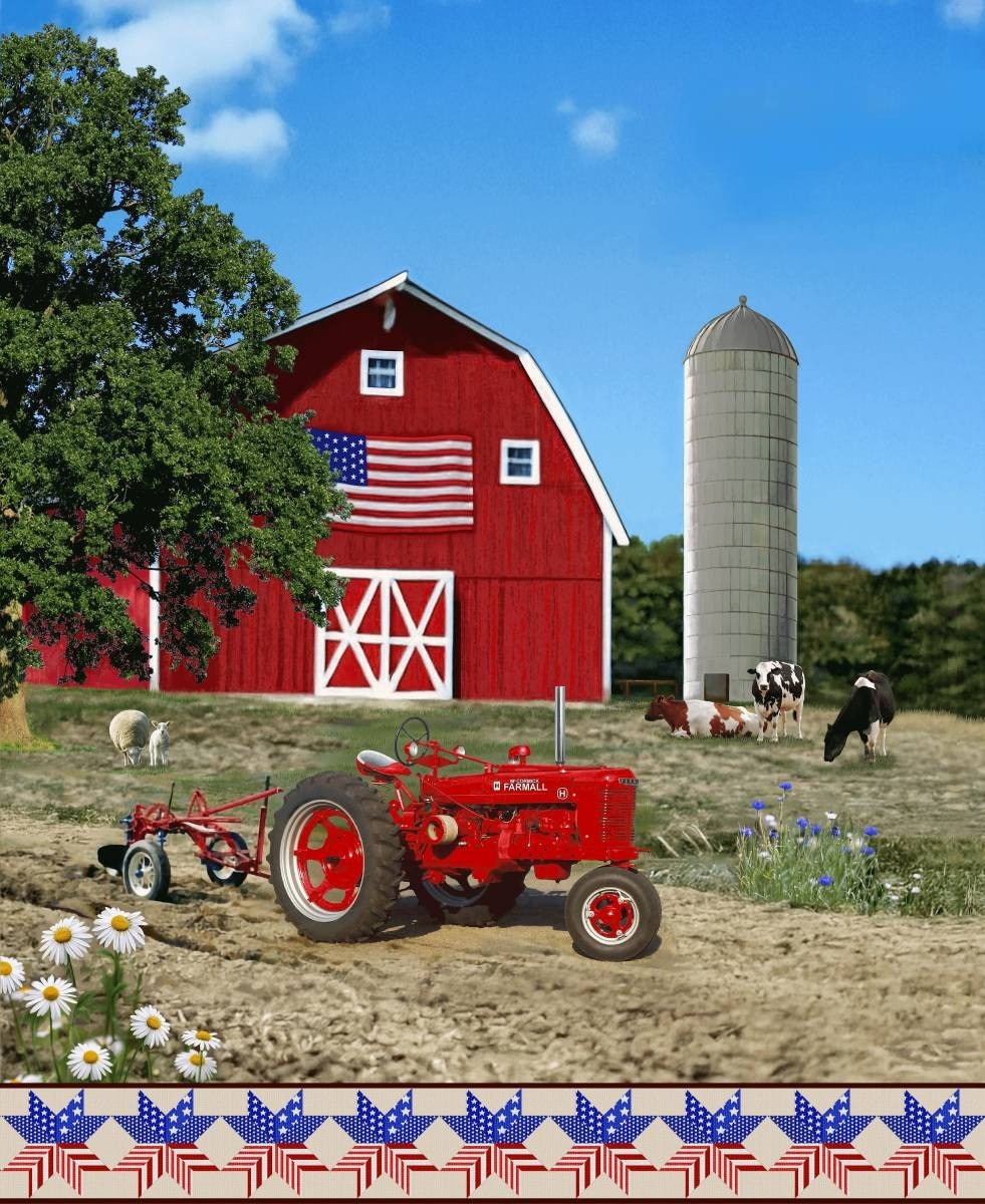 Farmall 2879P-87 Red/Multi Panel