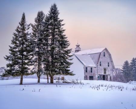 Winter At the Barn Paneo 0056-3C 1 Multi