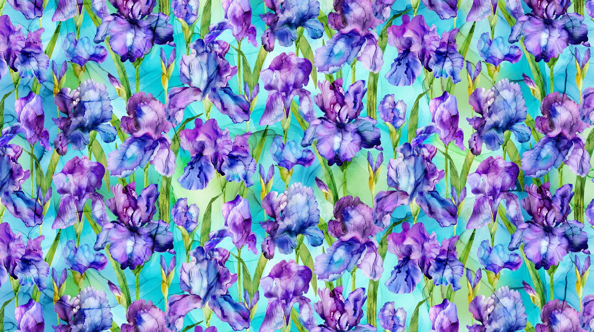 Infatuation DP28613-64 Turquoise Multi Iris