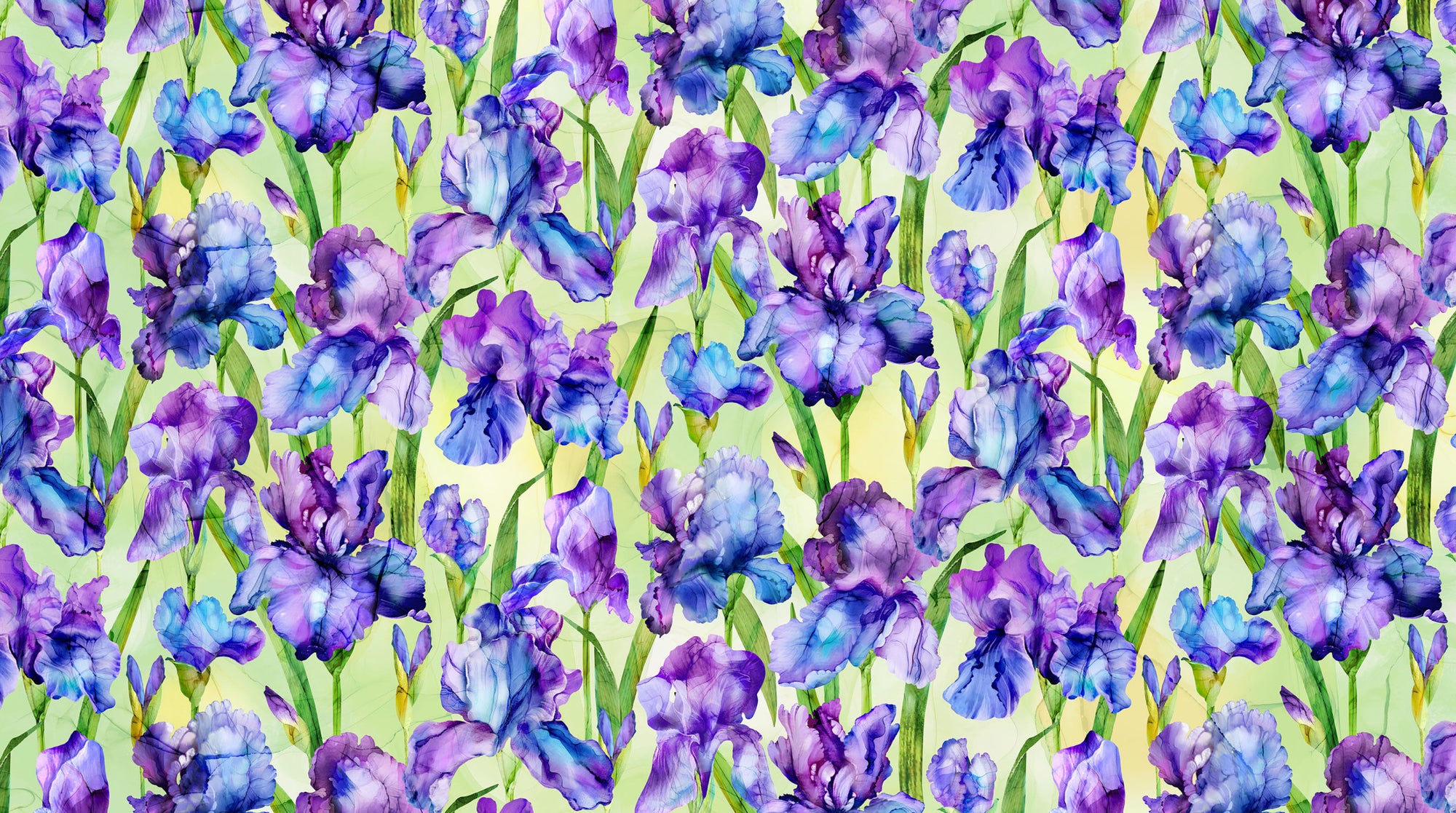 Infatuation DP28613-74 Green Multi Iris