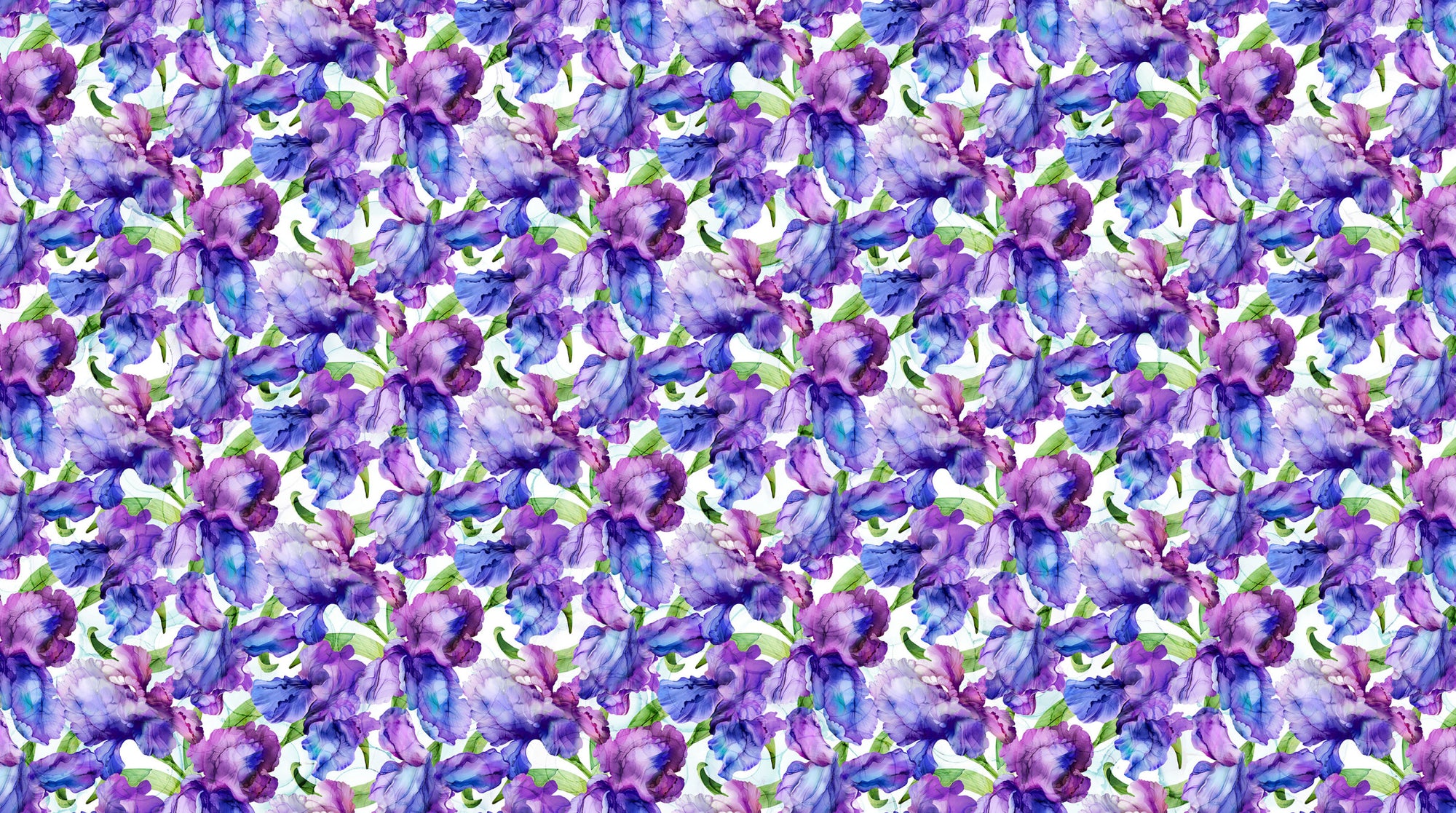 Infatuation DP28614-10 White Multi Packed Iris