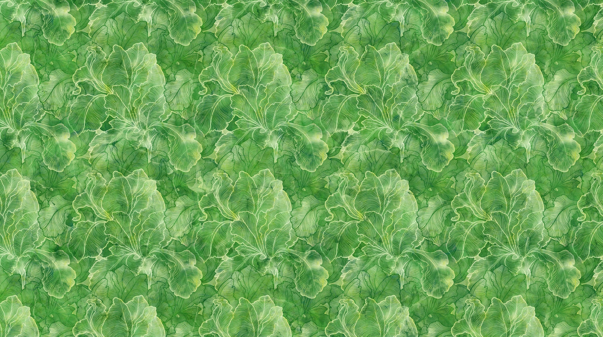 Infatuation DP28615-76 Green Iris Texture