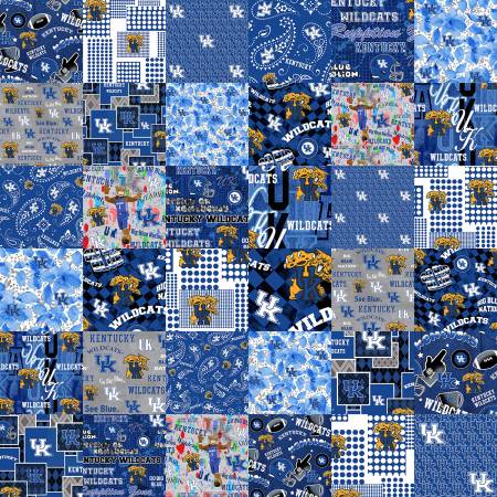 60" wide University of Kentucky Collegiate Cheater Quilt