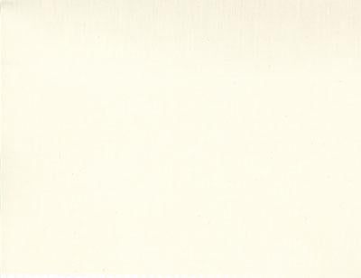 90" wide Cream Muslin 200CT 9953-12