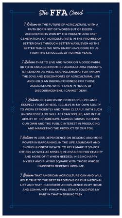 FFA Forever Blue 2 FFA Creed Panel 24in x 43in P15855-PANEL