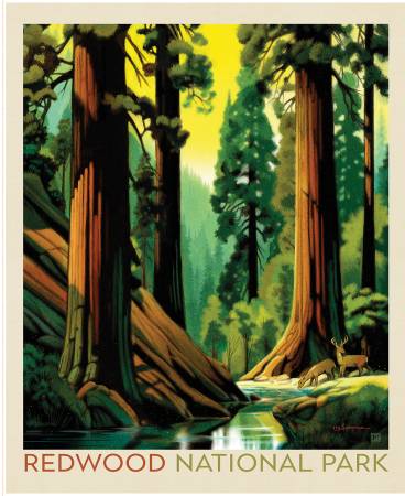 National Parks Redwood Poster Panel
