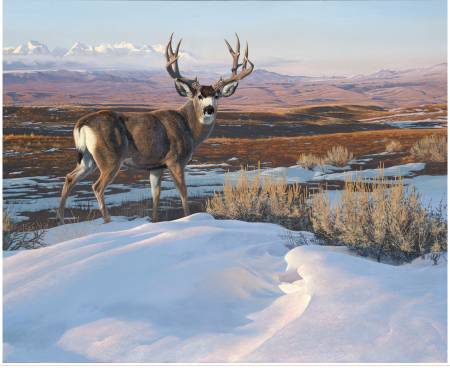 Majestic in Nature II Drifting Panel