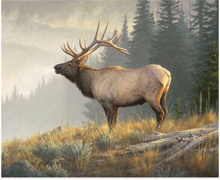 Majestic in Nature II Monarch of the Mountain Panel