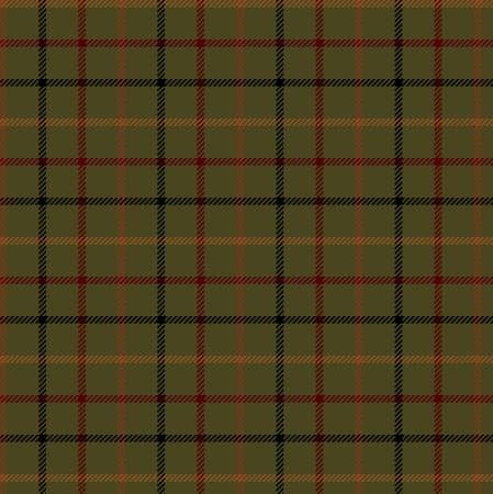 Primo Plaid Flannel - Rich & Rustic PP091975-Olive