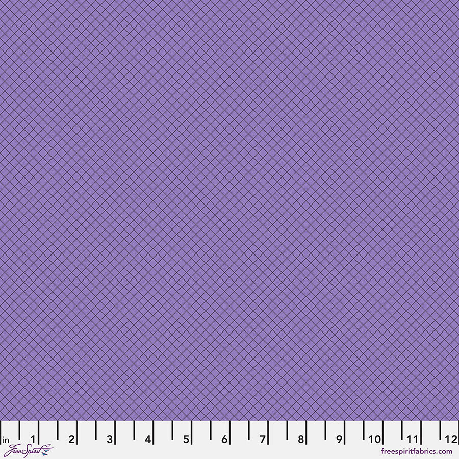 Tula Pink True Colors On the Grid PWTP255.MYSTERIOUS