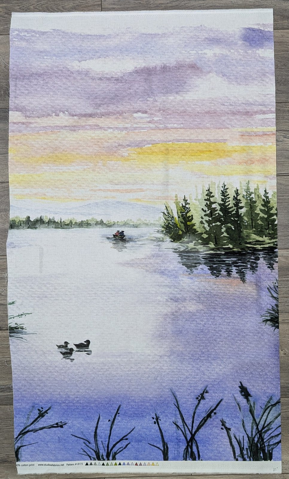 25" - Point of View Pond