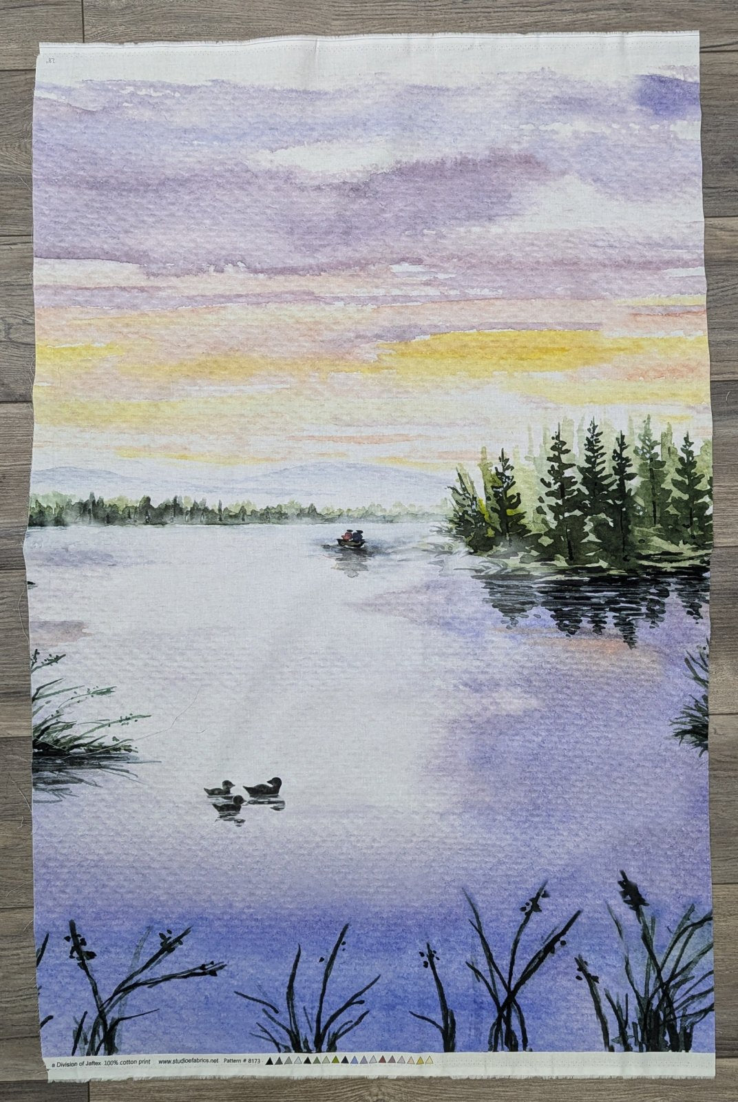 28" - Point of View Pond