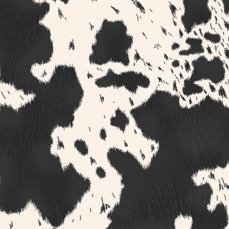 44" Wide Echoes Of The Range Black Longhorn Quilting Cuddle