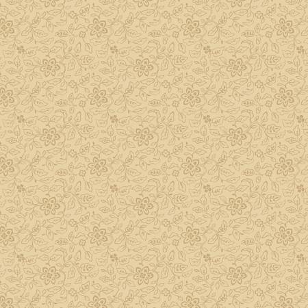 Black Sheep R171943D-CREAM Cream Barely There