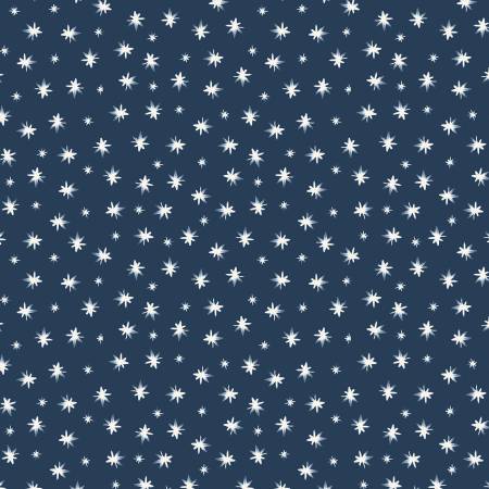 Friends & Flakes R501898D-NAVY Navy Star