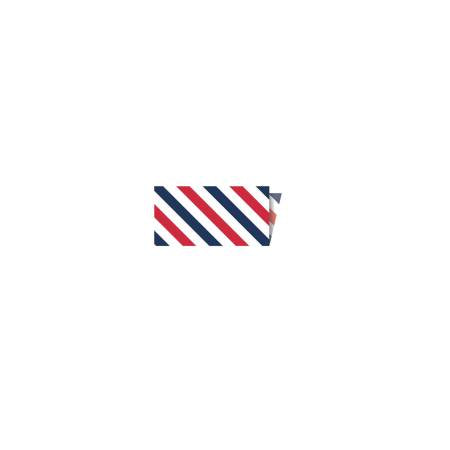 Riley Blake Designs Single-Fold Quilt Binding 1/8" Stripe Patriotic - BY THE YARD