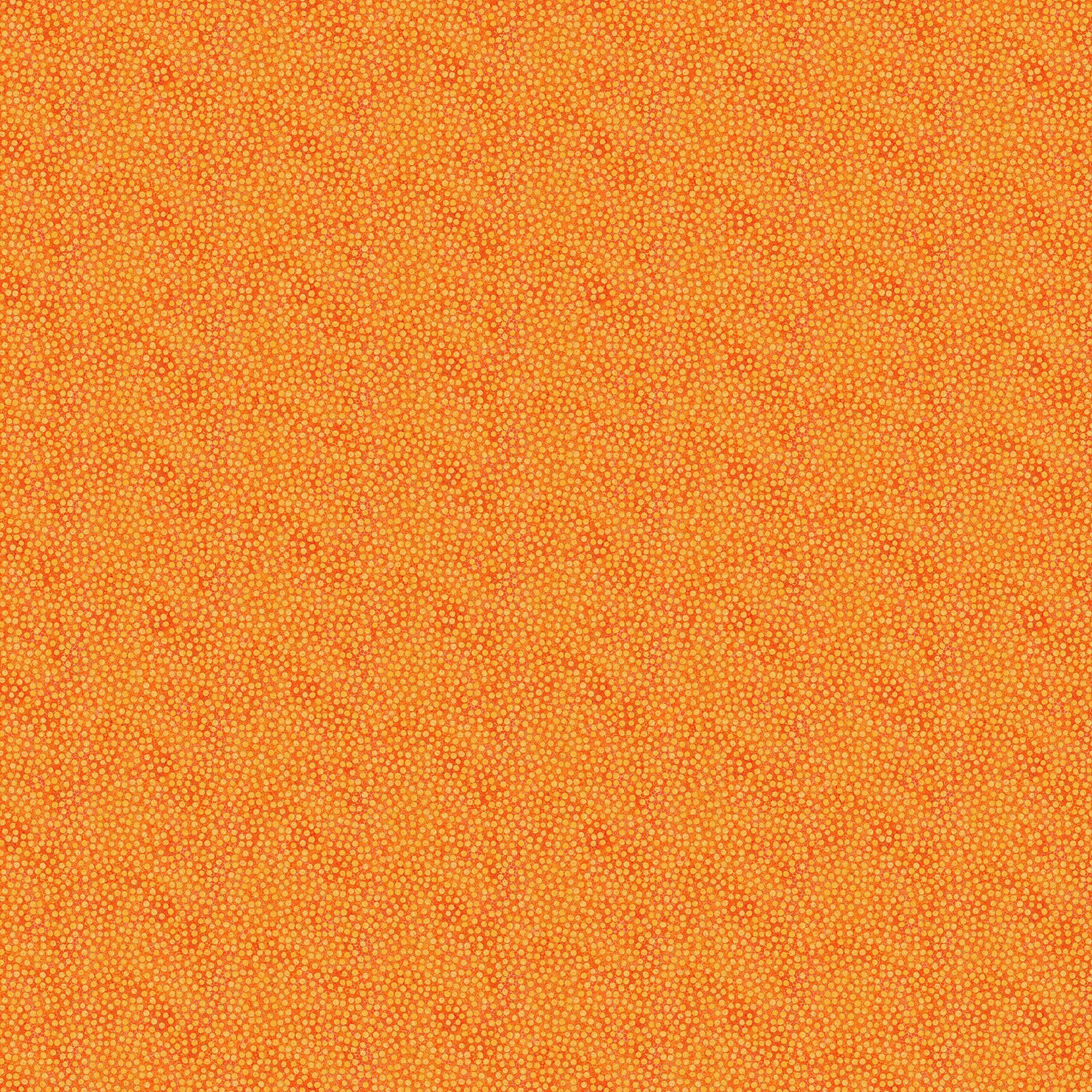 Shimmer Basics 27898M-24 Tutti Fruiti