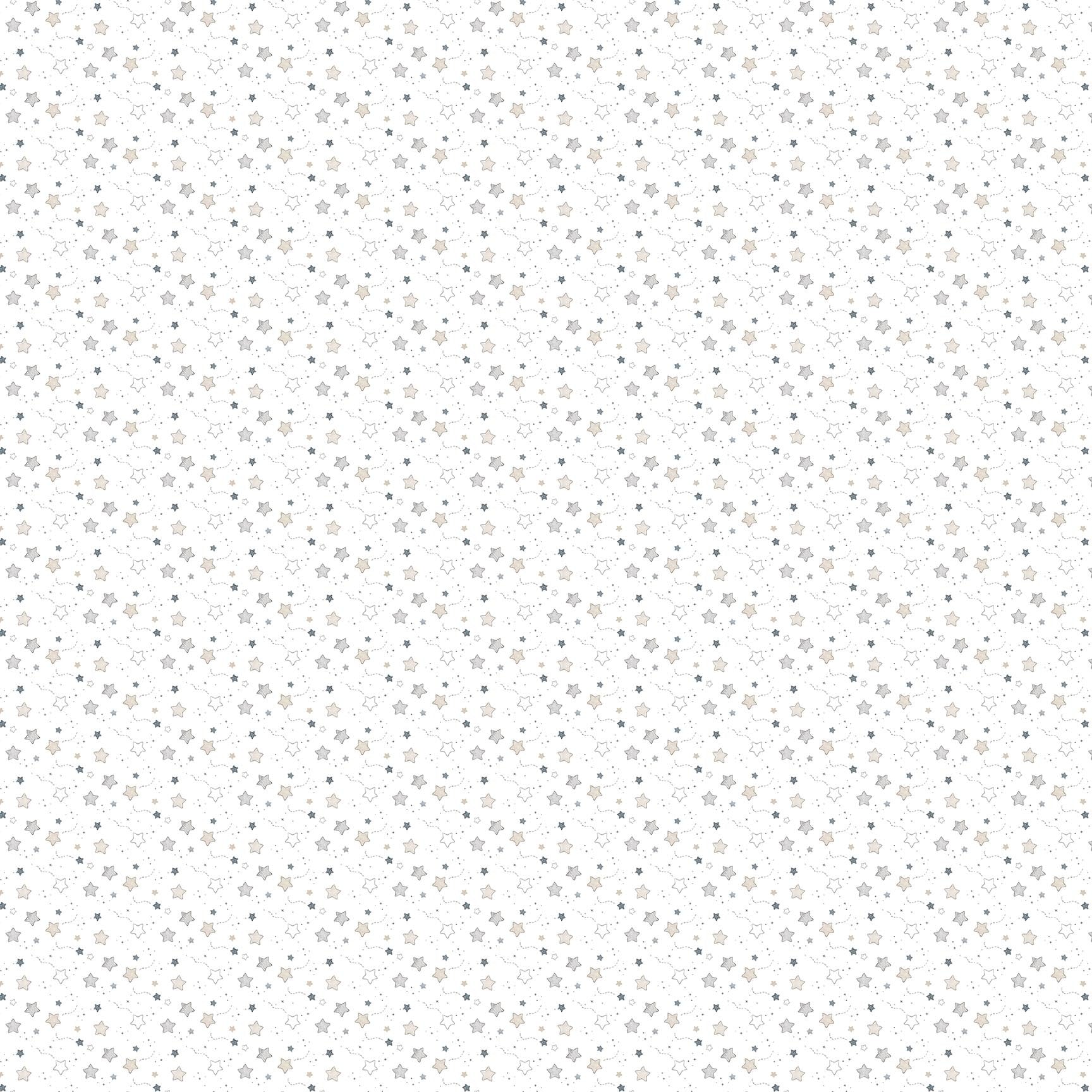 Soaring Dreams 91244-10 White Stars
