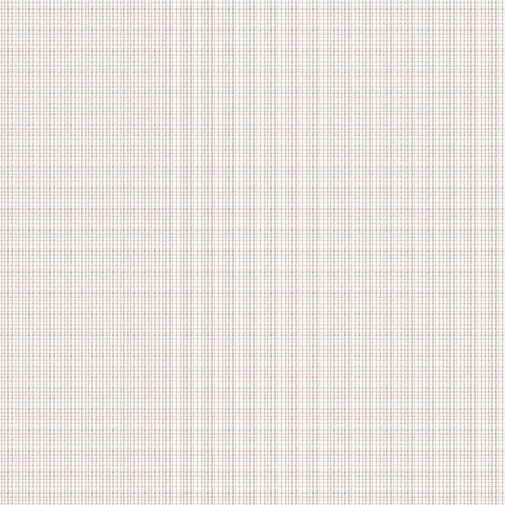 Soaring Dreams 91245-30 Linen Gingham