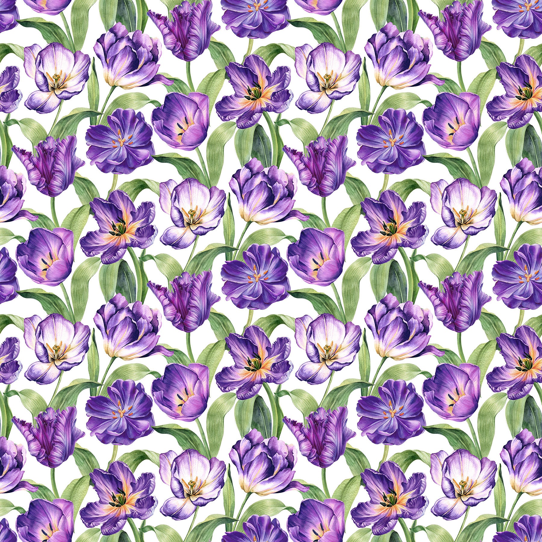 Tulip Garden DP28494-10 White Multi