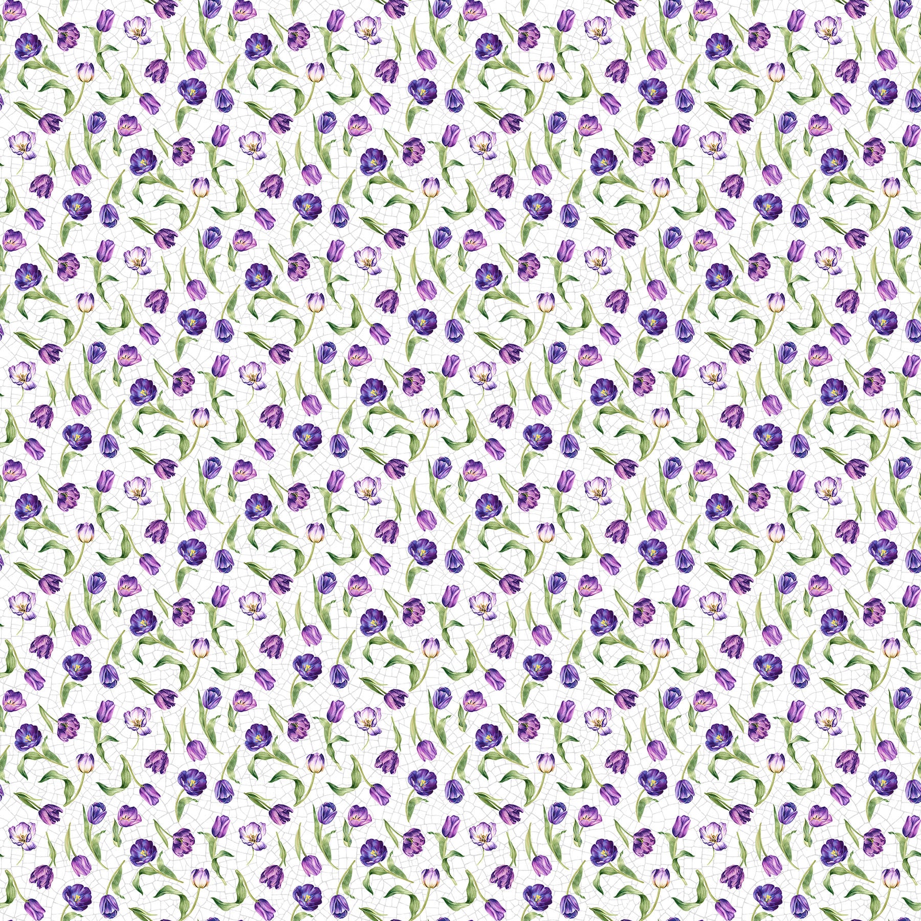 Tulip Garden DP28496-10 White Multi